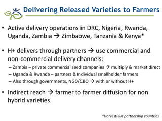 Biofortification in AfricaEvidence of Success and Vision for Scaling Up