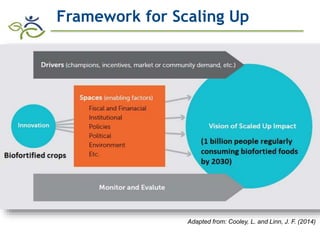 Biofortification in AfricaEvidence of Success and Vision for Scaling Up