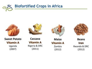 Biofortification in AfricaEvidence of Success and Vision for Scaling Up