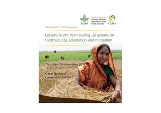 Lessons learnt from scaling-up actions on food security, adaptation and mitigation
