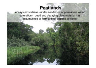 Peatlands                             2
ecosystems where - under conditions of permanent water
   saturation - dead and decaying plant material has
     accumulated to form a thick organic soil layer
 