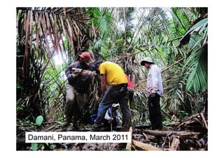 Damani, Panama, March 2011
 
