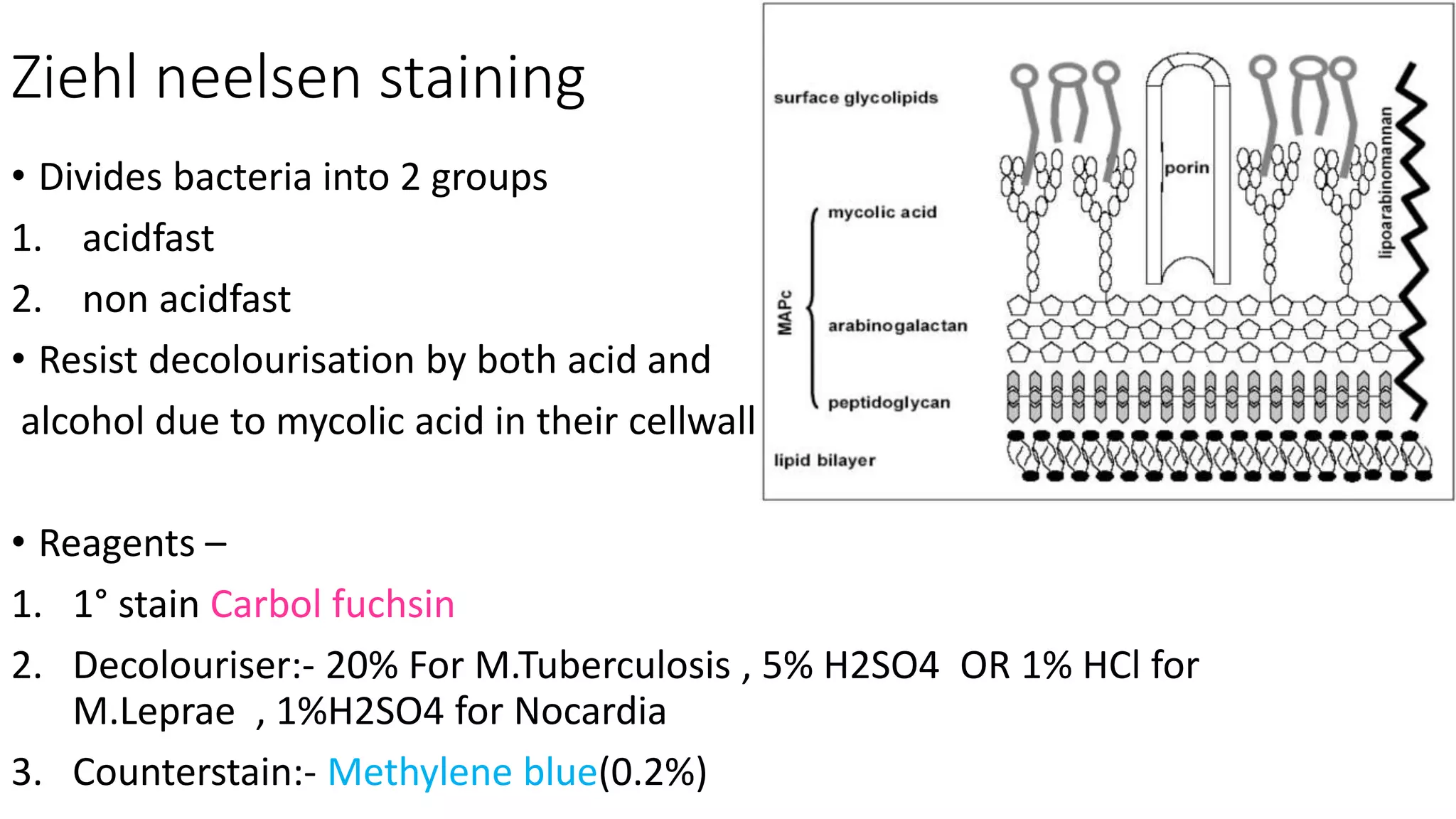 SIDE LAB INVESTIGATIONS IN DERMATOLOGY srt-1.pptx