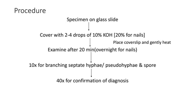 SIDE LAB INVESTIGATIONS IN DERMATOLOGY srt-1.pptx | Skin and ...