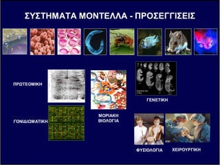 ΣΥΣΤΗΜΑΤΑ ΜΟΝΤΕΛΛΑ - ΠΡΟΣΕΓΓΙΣΕΙΣ
ΠΡ ΤΕΟΜΙΚΗ
ΓΟΝΙ∆Ι ΜΑΤΙΚΗ
ΜΟΡΙΑΚΗ
ΒΙΟΛΟΓΙΑ
ΦΥΣΙΟΛΟΓΙΑ
ΓΕΝΕΤΙΚΗ
ΧΕΙΡΟΥΡΓΙΚΗ
 