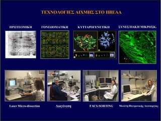 ΚΕΝΤΡΟΚΕΝΤΡΟ ΠΕΙΡΑΜΑΤΙΚΗΣΠΕΙΡΑΜΑΤΙΚΗΣ ΧΕΙΡΟΥΡΓΙΚΗΣΧΕΙΡΟΥΡΓΙΚΗΣ
A team of investigators performing a heart operation in a pig, in one of the
three Surgical Suites of the Centre.
Πλήρως εξοπλισµένες χειρουργικές αίθουσες µε δυνατότητα
υποστήριξης ευρέως φάσµατος χειρουργικά πρωτόκολλα (>2000 !!!!)
σε ζωικά πρότυπα (µύες έως χοίροι)..
Μονάδα Εντατικής Παρακολούθησης, για µετεγχειρητική νοσηλεία,
υπό συνεχή παρακολούθηση των ζωτικών σηµείων και υποβοήθηση
των διαφόρων λειτουργικών συστηµάτων τους.
Μονάδα Απεικονιστικών Μεθόδων, εξετάσεις µε τη βοήθεια
σύγχρονων απεικονιστικών µεθόδων, όπως ακτίνων Χ, υπερήχων,
αξονικού και µαγνητικού τοµογράφου και ραδιοϊσοτοπικών στοιχείων.
Highly trained animal caretaker handling experimental animals in IVF cages
1600 m2, µε δυνατότητα στέγασης ~8.000 µυών και επίµυων, 70
κονίικλων και 20 χοίρων.
SPF συνθήκες σε ατοµικά αεριζόµενα κλουβιά σύµφωνα µε τις
οδηγίες της Ευρωπαϊκής (European Convention 123/Council of
Europe and Directive 86/609/EEC), «AAALAC Int.», και
«FELASA».
Λίαν συντόµως η χωρητικότητα σε ποντικούς θα αυξηθεί στις
16.000.
Εντός των εποµένων 2 χρόνων θα κατασκευαστεί νέα Μονάδα
Ζωικών Προτύπων χωρητικότητας περίπου 80.000 µύες
ΟΙΚΟΣΟΙΚΟΣ ΠΕΙΡΑΜΑΤΟΖ ΝΠΕΙΡΑΜΑΤΟΖ Ν
ΠΡ ΤΕΟΜΙΚΗΠΡ ΤΕΟΜΙΚΗ ΓΟΝΙ∆ΙΟΜΑΤΙΚΗΓΟΝΙ∆ΙΟΜΑΤΙΚΗ ΚΥΤΤΑΡΟΓΕΝΕΤΙΚΗΚΥΤΤΑΡΟΓΕΝΕΤΙΚΗ
ΤΕΧΝΟΛΟΓΙΕΣΤΕΧΝΟΛΟΓΙΕΣ ΑΙΧΜΗΣΑΙΧΜΗΣ ΣΤΟΣΤΟ ΙΙΒΕΑΑΙΙΒΕΑΑ
∆ιαγένεση∆ιαγένεσηLaser MicroLaser Micro--dissectiondissection FACSFACS--SORTINGSORTING ΜελέτηΜελέτη ΠνευµονικήςΠνευµονικής ΛειτουργίαςΛειτουργίας
ΣΥΝΕΣΤΙΑΚΗΣΥΝΕΣΤΙΑΚΗ ΜΙΚΡΟΣΚΜΙΚΡΟΣΚ..
 