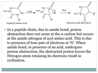  In a peptide chain, due to amide bond, proton
abstraction does not occur at the α-carbon but occurs
at the amide nitrogen of acyl amino acid. This is due
to presence of lone pair of electrons at ‘N’. When
amide bond, in presence of an acid, undergoes
proton abstraction, the abstracted proton leaves the
Nitrogen atom retaining its electrons result in
cyclization.
 