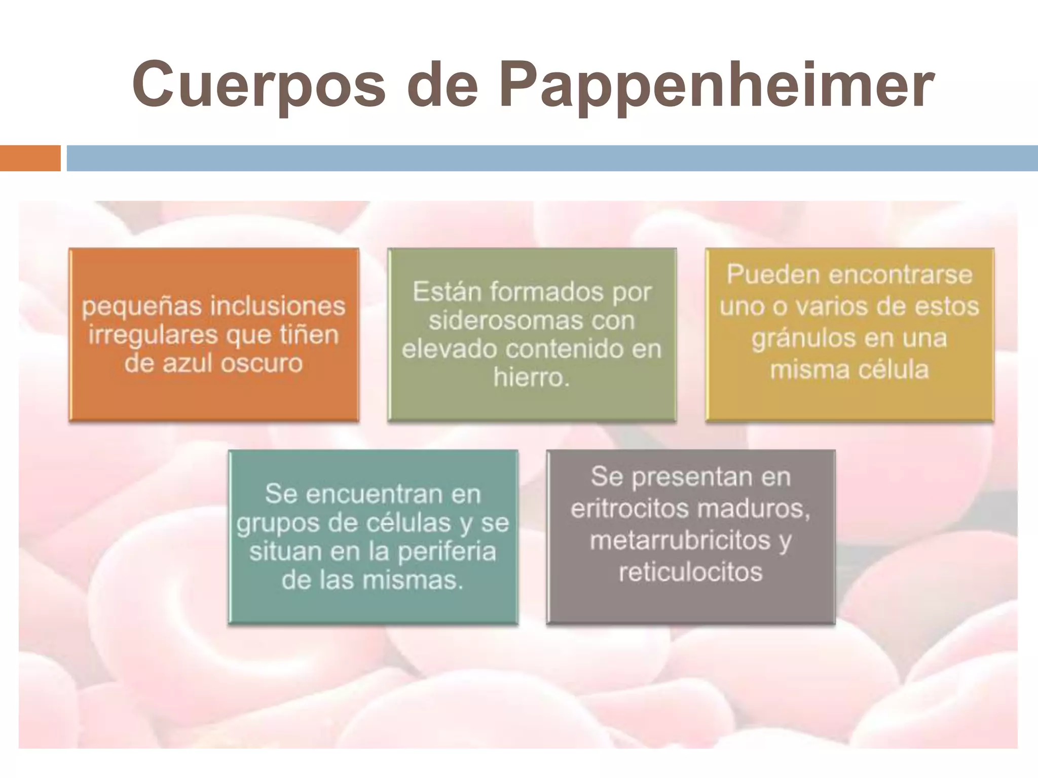 Cuerpos de Pappenheimer
 