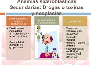 Anemias sideroblásticas
  Secundarias: Drogas o toxinas
         y neoplasias

• Deshidratasa         • Neplasias
  Acida delta –          Hematologicas:
  aminolevulinica y    • Leucemias
  ferroquerratasa      • Histiocitos
                         maligna.
• Anormalidad          • Mieloma multiple
  marcada del          • Linfoma
  grupo hemo
                       • Postratamiento:
                         enf Hodgkin y
                         mieloma (mal
                         pronostico)
 