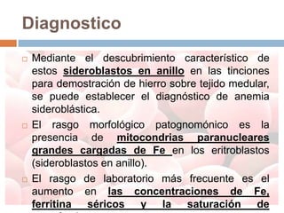 Diagnostico
   Mediante el descubrimiento característico de
    estos sideroblastos en anillo en las tinciones
    para demostración de hierro sobre tejido medular,
    se puede establecer el diagnóstico de anemia
    sideroblástica.
   El rasgo morfológico patognomónico es la
    presencia de mitocondrias paranucleares
    grandes cargadas de Fe en los eritroblastos
    (sideroblastos en anillo).
   El rasgo de laboratorio más frecuente es el
    aumento en las concentraciones de Fe,
    ferritina séricos y la saturación de
 