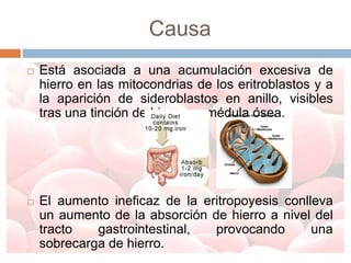 Causa
   Está asociada a una acumulación excesiva de
    hierro en las mitocondrias de los eritroblastos y a
    la aparición de sideroblastos en anillo, visibles
    tras una tinción de hierro en médula ósea.




   El aumento ineficaz de la eritropoyesis conlleva
    un aumento de la absorción de hierro a nivel del
    tracto   gastrointestinal,  provocando       una
    sobrecarga de hierro.
 