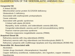 sideroblastic anemia pathophysiology