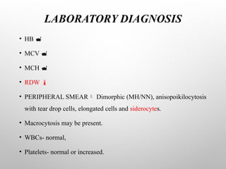 LABORATORY DIAGNOSIS
• HB 
• MCV 
• MCH 
• RDW 
• PERIPHERAL SMEAR Dimorphic (MH/NN), anisopoikilocytosis
with tear drop cells, elongated cells and siderocytes.
• Macrocytosis may be present.
• WBCs- normal,
• Platelets- normal or increased.
 