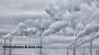 Microbial & chemical effects in
Environment
Siderophores & Acid rain
 