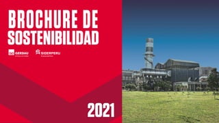 BROCHURE DE
SOSTENIBILIDAD
2021
 