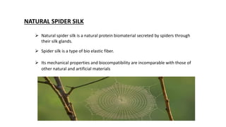 NATURAL SPIDER SILK
 Natural spider silk is a natural protein biomaterial secreted by spiders through
their silk glands.
 Spider silk is a type of bio elastic fiber.
 Its mechanical properties and biocompatibility are incomparable with those of
other natural and artificial materials
 