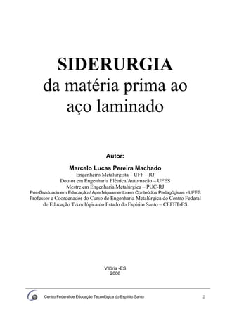 Centro Federal de Educação Tecnológica do Espírito Santo 2
SIDERURGIA
da matéria prima ao
aço laminado
Autor:
Marcelo Lucas Pereira Machado
Engenheiro Metalurgista – UFF – RJ
Doutor em Engenharia Elétrica/Automação – UFES
Mestre em Engenharia Metalúrgica – PUC-RJ
Pós-Graduado em Educação / Aperfeiçoamento em Conteúdos Pedagógicos - UFES
Professor e Coordenador do Curso de Engenharia Metalúrgica do Centro Federal
de Educação Tecnológica do Estado do Espírito Santo – CEFET-ES
Vitória -ES
2006
 