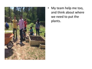 • My team help me too,
and think about where
we need to put the
plants.
 