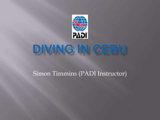 Diving in Cebu Simon Timmins (PADI Instructor) 