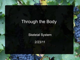 Through the Body   Skeletal System 2/23/11 