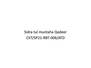 Sidra tul muntaha Qadeer
CIIT/SP21-RBT-006/ATD
 