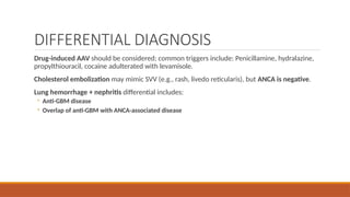 Anca associated vasculitis (renal and systemic) | PPTX