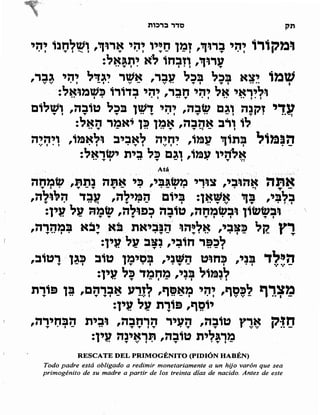 Sidur bircat shelomo libro de rezos