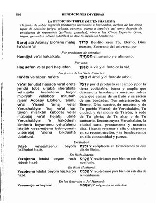 Sidur bircat shelomo libro de rezos