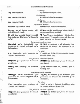 Sidur bircat shelomo libro de rezos