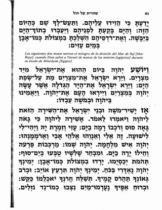 Sidur bircat shelomo libro de rezos