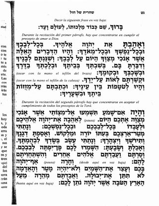 Sidur bircat shelomo libro de rezos