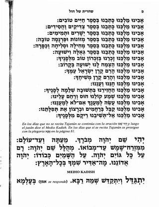 Sidur bircat shelomo libro de rezos