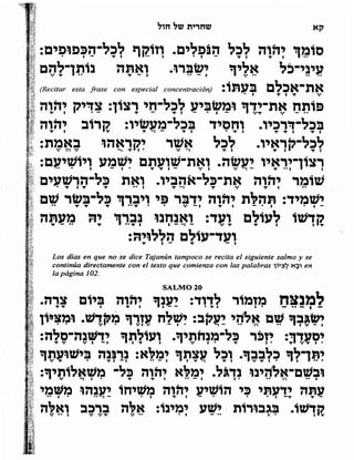 Sidur bircat shelomo libro de rezos