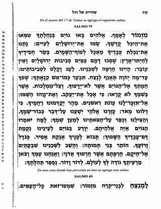 Sidur bircat shelomo libro de rezos