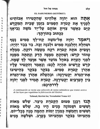 Sidur bircat shelomo libro de rezos