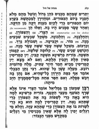 Sidur bircat shelomo libro de rezos