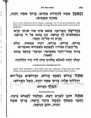 Sidur bircat shelomo libro de rezos