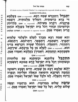 Sidur bircat shelomo libro de rezos