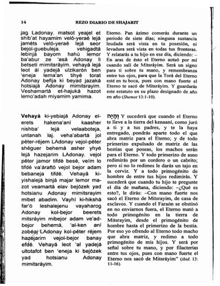 Sidur bircat shelomo libro de rezos