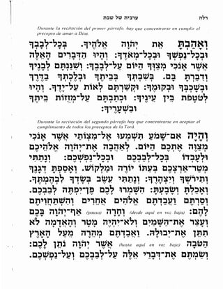 Sidur bircat shelomo libro de rezos