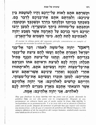 Sidur bircat shelomo libro de rezos