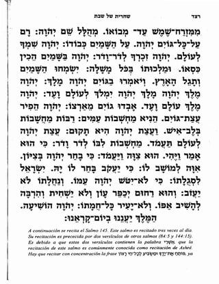 Sidur bircat shelomo libro de rezos