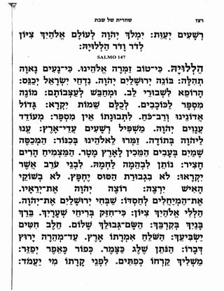 Sidur bircat shelomo libro de rezos