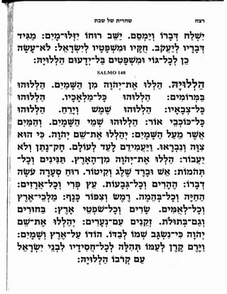 Sidur bircat shelomo libro de rezos