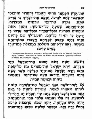 Sidur bircat shelomo libro de rezos