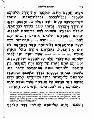 Sidur bircat shelomo libro de rezos