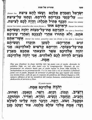 Sidur bircat shelomo libro de rezos