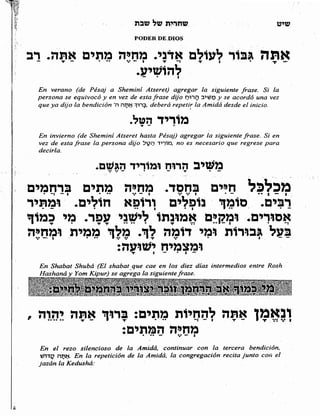 Sidur bircat shelomo libro de rezos