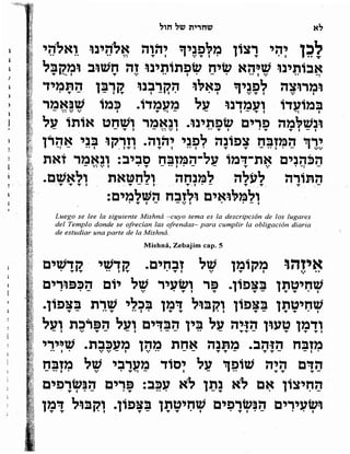 Sidur bircat shelomo libro de rezos