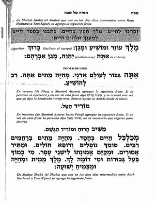 Sidur bircat shelomo libro de rezos